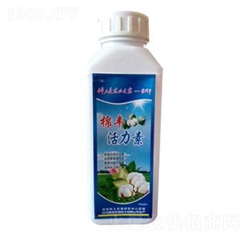 ���S������-�Ό�