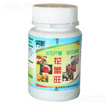 ������-���d����