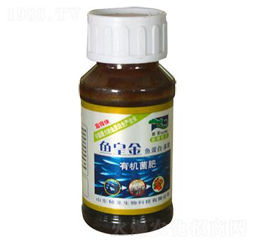 �~�ʽ��ЙC(j��)����-���d����