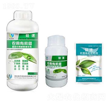 �r���ЙC��-����-�����r�I(y��)