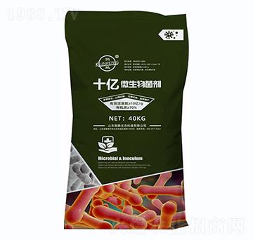 ʮ�|΢�������-�H�i���B(t��i)