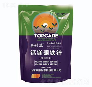 �}�V���F�\-�H�i���B(t��i)