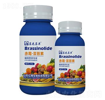 ��ù���|̦��-�|������