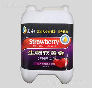 ��ݮ��(zhu��n)�Û_ʩ����-����ܛ�S��-�����ʘI(y��)