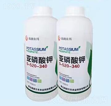 �������0-520-340-����(r��n)�f(w��n)�S