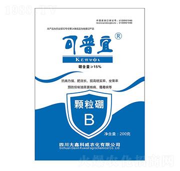 �w����-������-���ο���