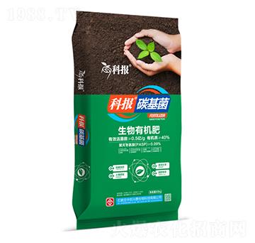 �����ЙC(j��)��-�ƈ�(b��o)-���r(n��ng)�d̩