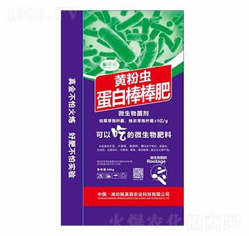 ���װ�����-ʩ����