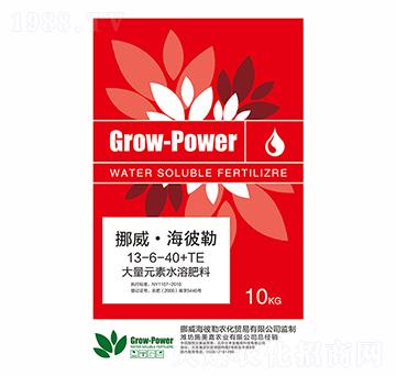 ����Ԫ��ˮ�ܷ�13-6-40+TE-Ų����������-ʩ����