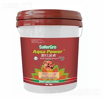 з�t����-�՝�����