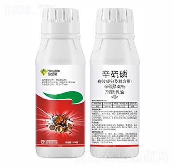 40%����������-����Z