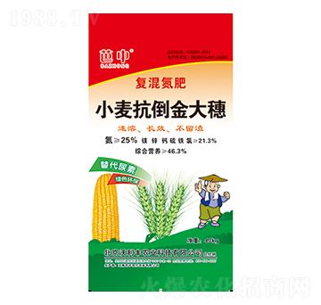 С�����������-�����r(n��ng)�I(y��)