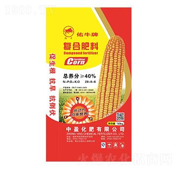 �ͺϷ���28-6-6-��ţ��-��ӯ����