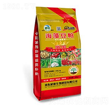 5�|�����嶹��΢�������-��������