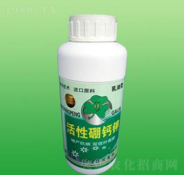 �������}�-ʩ����