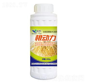 ����(d��ng)��-�G��-��ʿ�R��