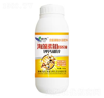 �������f�I(y��ng)�B(y��ng)Һ-�G��-��ʿ�R��