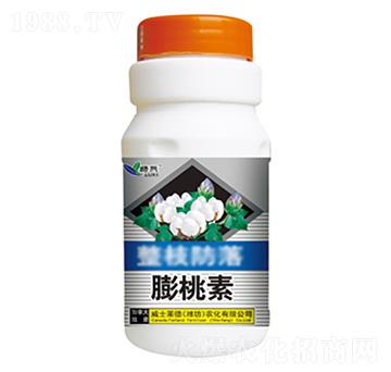 ������-�G��-��ʿ�R��