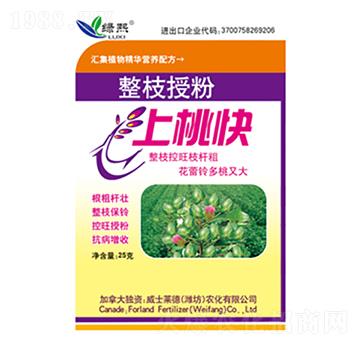 ��֦�ڷ����ҿ�-�G��-��ʿ�R��