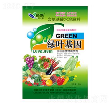 �G�~����-�G��-��ʿ�R��