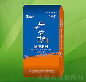 �������25-8-9-ʥ����-�W����˹