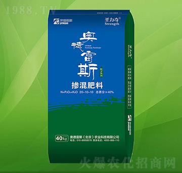 �������20-10-10-ʥ����-�W����˹