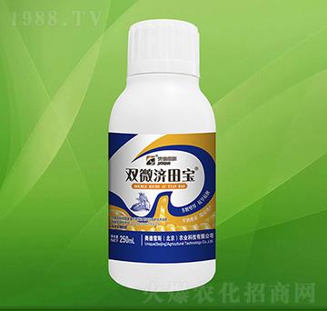 �����������-�p΢���-�W����˹