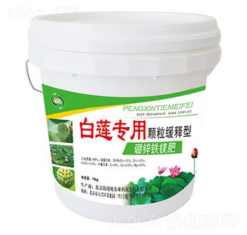 ��ɏ�������\�F�V��-���r(n��ng)����