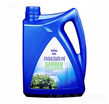 �������v��-ɭ��-�����r(n��ng)��