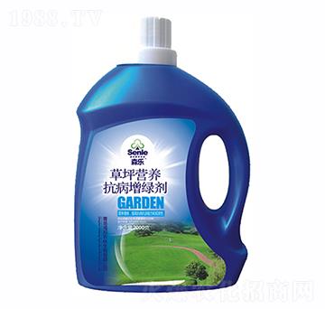 ��ƺ�I�B(y��ng)�������G��-ɭ��-�����r��