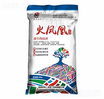 ���P��΢�������-����̩