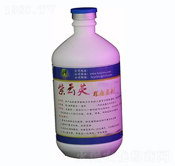 500ml����Ӣ��������Һ�w-�A��(chu��ng)���r(n��ng)