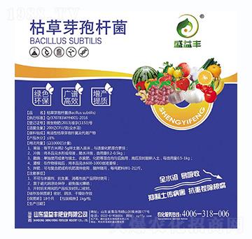 �ݲ�ѿ�ߗU�����{��-ʢ���S