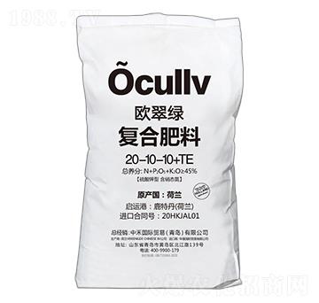 ������͏�(f��)�Ϸ���20-10-10+TE-�W��G-�к̇��H