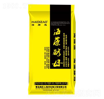 �����ĸ-������