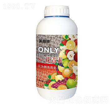 S-������-Ӣ����