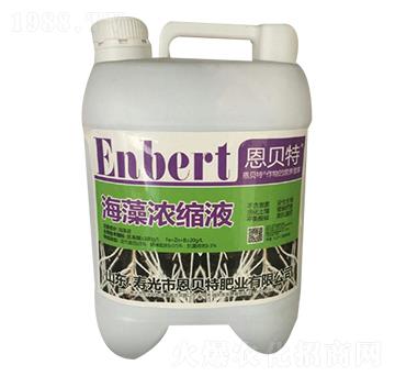 �����sҺ-��ؐ��