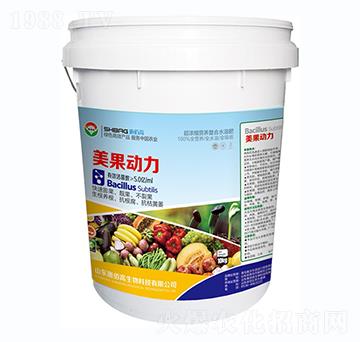 ������(d��ng)��-ʩ�۸�