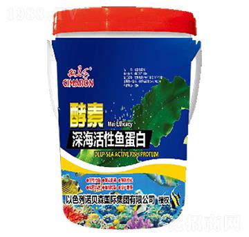 ��ĸ������~����-���R������