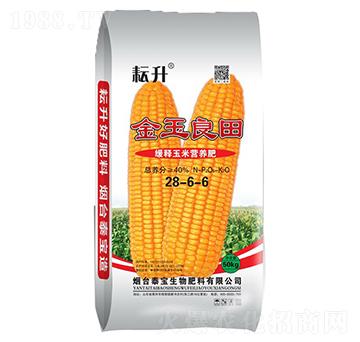 ������נI�B(y��ng)��28-6-6-��������-̩������