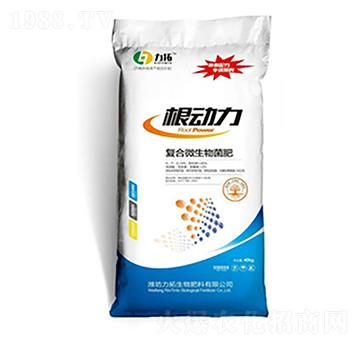 ��(f��)��΢�������-����(d��ng)��-��������