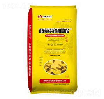 �ݲ�ѿ������-��������