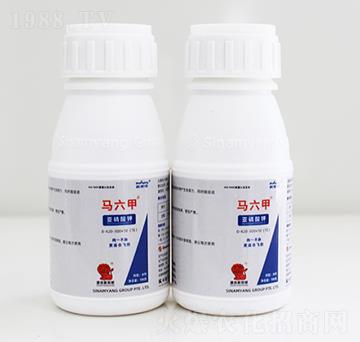 �R���ׁ������-Сħ��