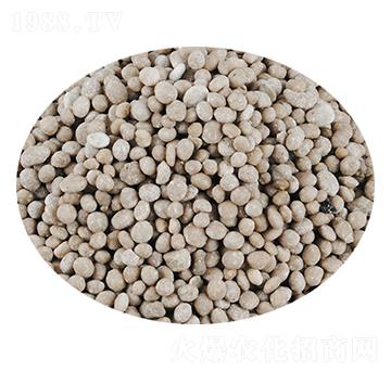 �ͺϷ����w��-���S