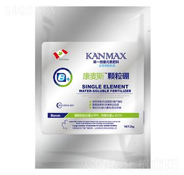 ����˹�w����-��������