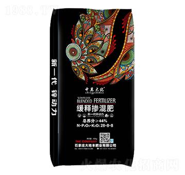 ��ጓ����28-8-8-����S