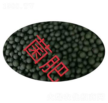 �����w��-��T�r�I(y��)