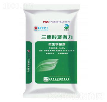 �����������-������