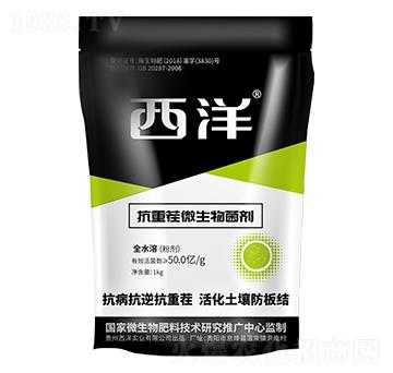 ���ز�΢�������-���󌍘I(y��)