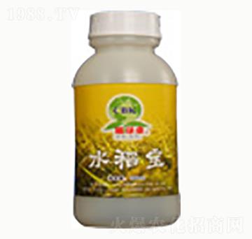 ˮ����-�n����